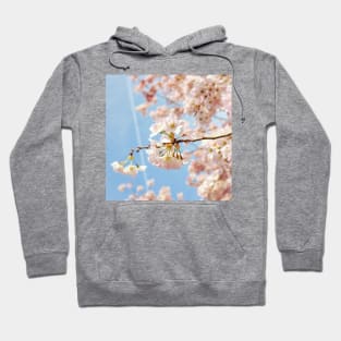 Cherry Blossom 8 Hoodie